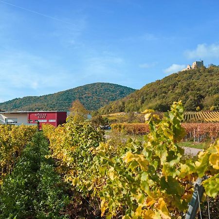 Weingut & Ferienwohnungen Mueller-Kern Neustadt an der Weinstraße Dış mekan fotoğraf