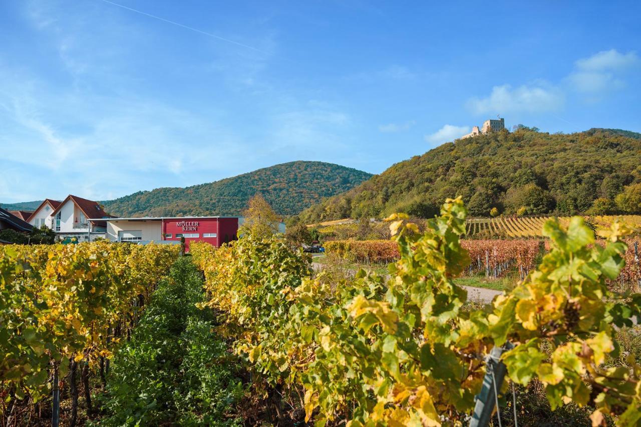 Weingut & Ferienwohnungen Mueller-Kern Neustadt an der Weinstraße Dış mekan fotoğraf