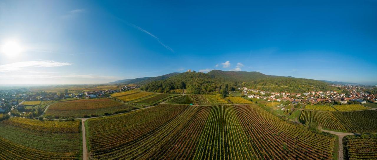 Weingut & Ferienwohnungen Mueller-Kern Neustadt an der Weinstraße Dış mekan fotoğraf